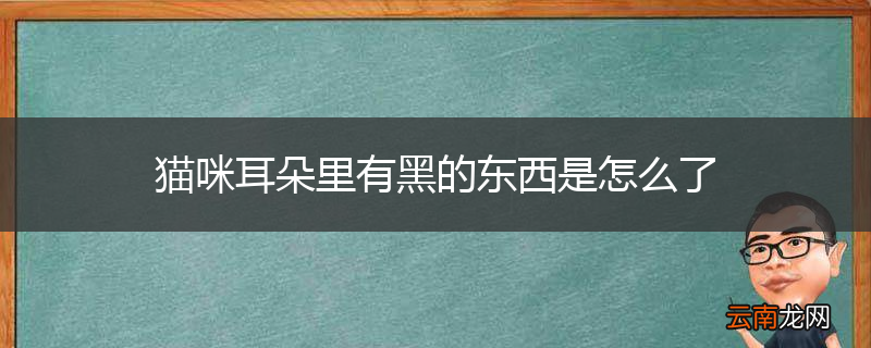 猫咪耳朵里有黑的东西是怎么了