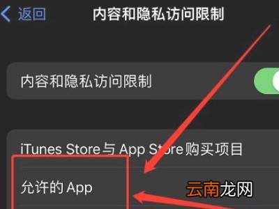 苹果13手机怎么设置隐私加密