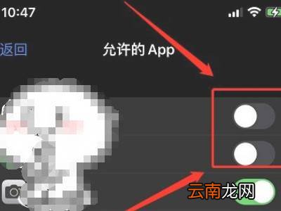 苹果13手机怎么设置隐私加密
