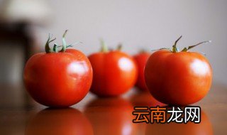 西红柿能放冷冻冰箱保鲜吗 西红柿能放冷冻冰箱保鲜吗吗