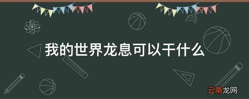 我的世界龙息可以干什么