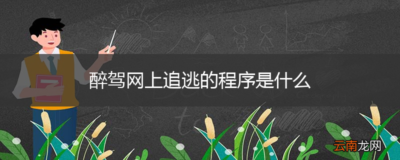 醉驾网上追逃的程序是什么