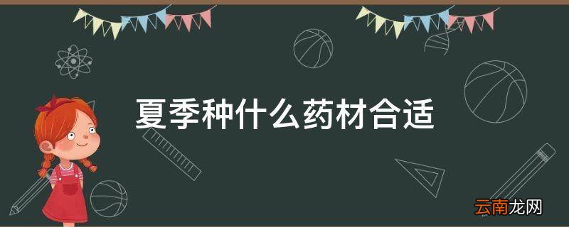 夏季种什么药材合适