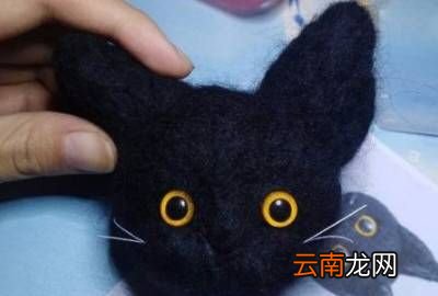 羊毛毡怎么戳，羊毛毡戳戳乐教程视频