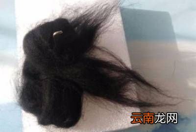 羊毛毡怎么戳，羊毛毡戳戳乐教程视频