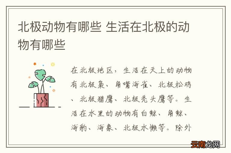 北极动物有哪些 生活在北极的动物有哪些