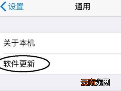 苹果手机抖音闪退怎么回事