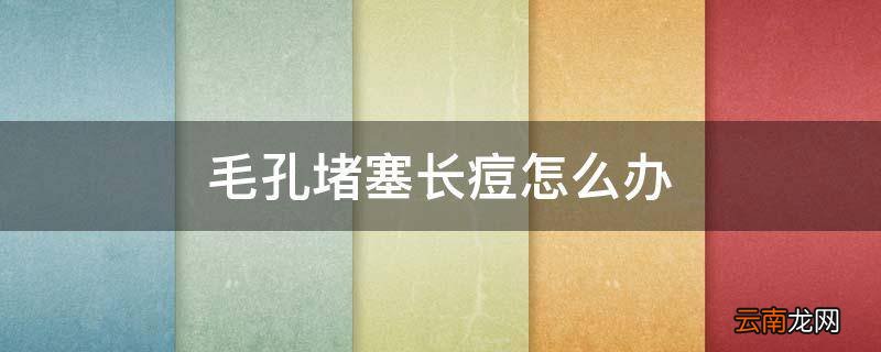 毛孔堵塞长痘怎么办