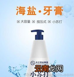 黑海盐牙膏功效与作用,海盐的功效与作用