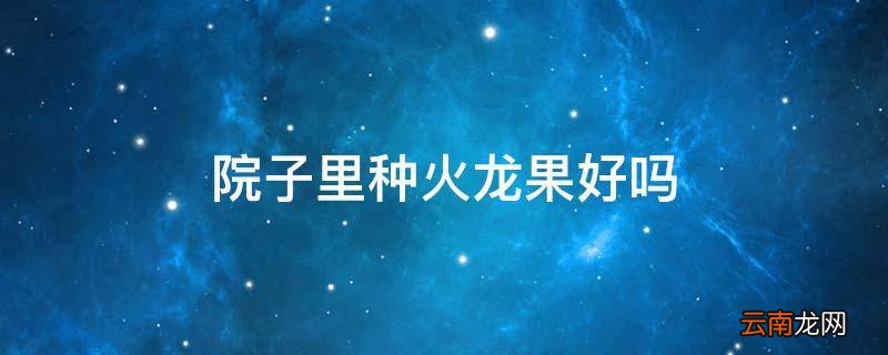 院子里种火龙果好吗