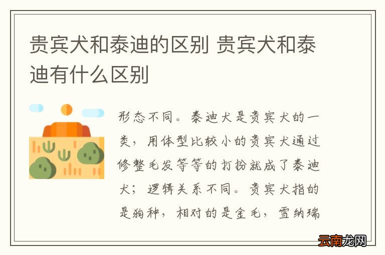 贵宾犬和泰迪的区别 贵宾犬和泰迪有什么区别
