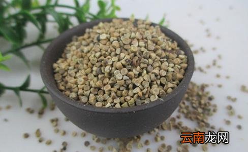 冬葵果与冬葵子的区别 帮你有效区分