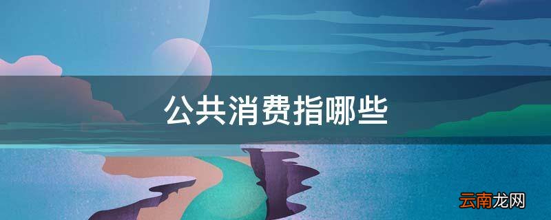 公共消费指哪些