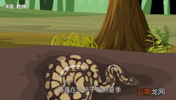 立秋是蛇出洞还是入洞 立秋是蛇入洞吗