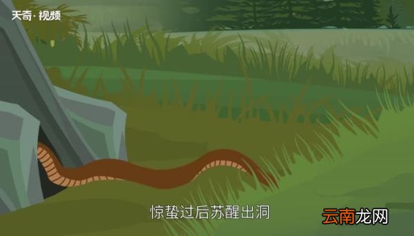 立秋是蛇出洞还是入洞 立秋是蛇入洞吗