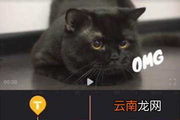 Enlight Videoleap详细玩法介绍