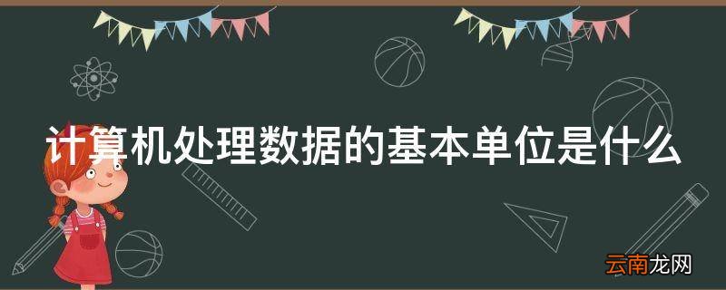 计算机处理数据的基本单位是什么