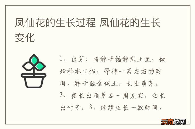 凤仙花的生长过程 凤仙花的生长变化