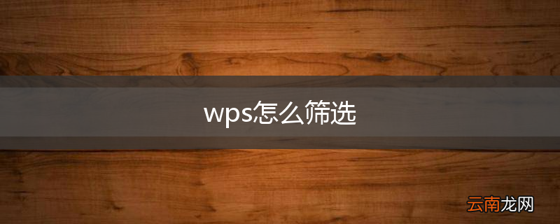 wps怎么筛选