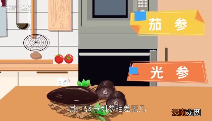 海参和刺参有什么不同 刺参和海参的区别是什么