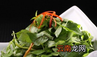 荆芥怎么做好吃 荆芥如何做好吃