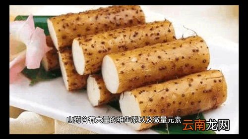 长山药的作用与功效,长山药有什么药用价值?
