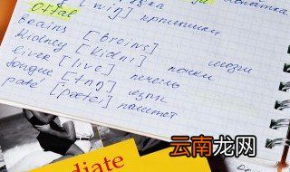 sharon英文名怎么读 怎么读sharon英文名