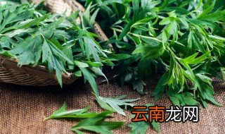 端午节门口挂什么，端午节门口挂什么东西