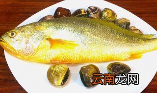 端午为什么吃黄鱼 中秋节吃黄鱼吗