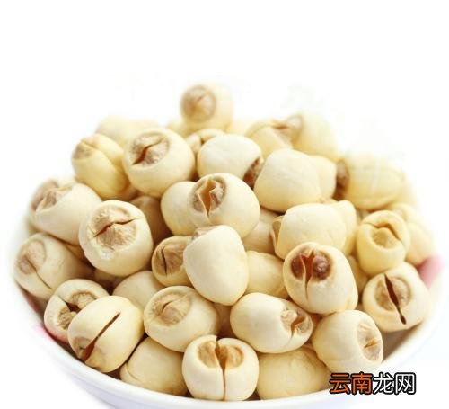 莲子吃多了会中毒吗 帮你了解莲子