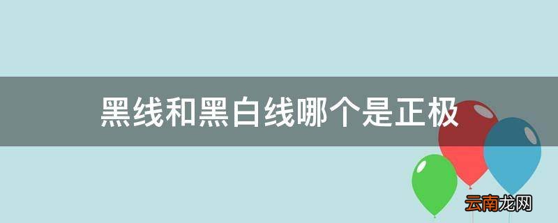 黑线和黑白线哪个是正极