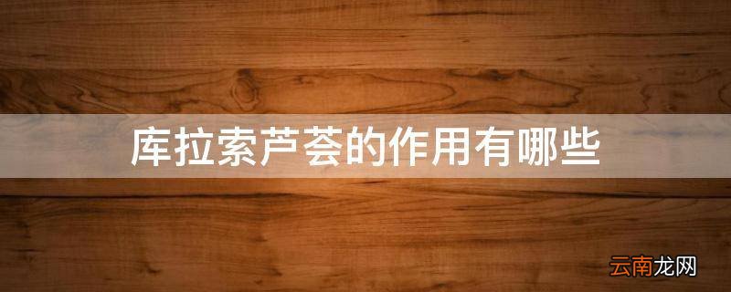 库拉索芦荟的作用有哪些