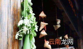 端午节用什么草洗澡 端午小孩可以用什么草洗澡