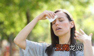 三伏天的入伏吃什么 各地三伏天入伏吃什么