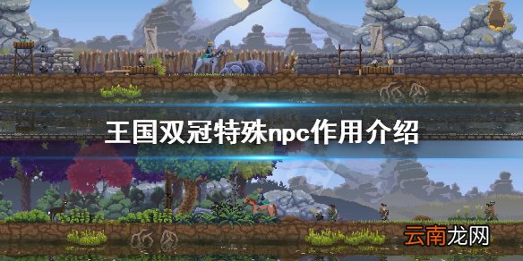 王国两位君主特殊npc有哪些 王国双冠特殊npc作用介绍