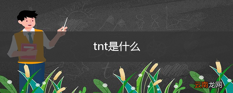 tnt是什么