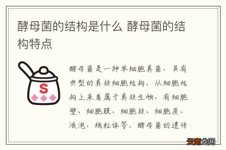 酵母菌的结构是什么 酵母菌的结构特点
