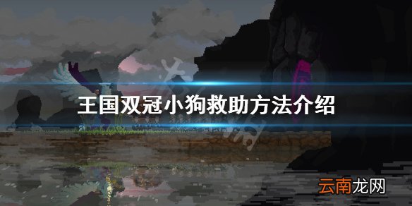 王国两位君主小狗怎么救 王国双冠小狗救助方法介绍