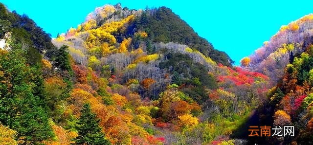 中国赏枫四大胜地 中国哪里的枫叶最美