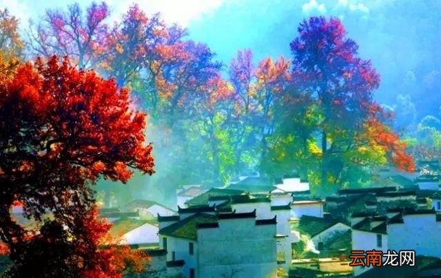 中国赏枫四大胜地 中国哪里的枫叶最美