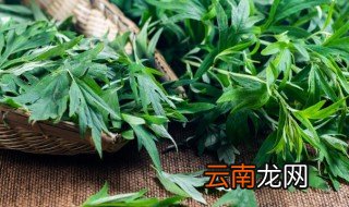 为什么端午插艾蒿 端午节为什么门口放艾蒿草