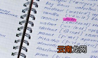 chicago怎么读 怎么读chicago