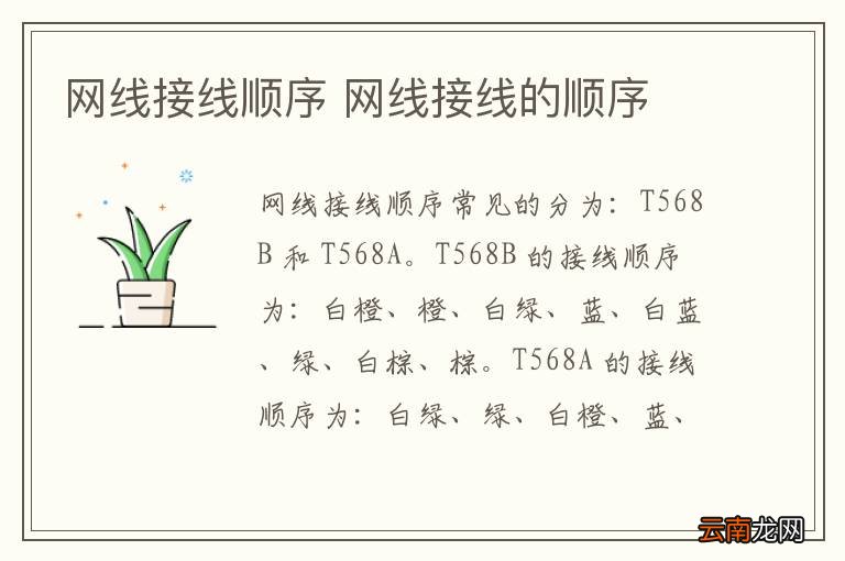 网线接线顺序 网线接线的顺序