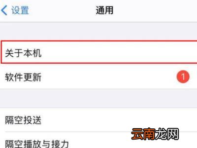 苹果13pro怎么显示运营商