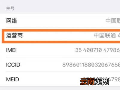 苹果13pro怎么显示运营商