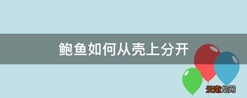 鲍鱼如何从壳上分开