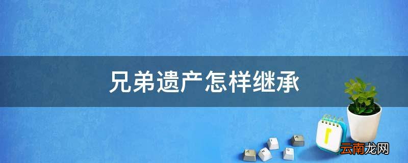 兄弟遗产怎样继承