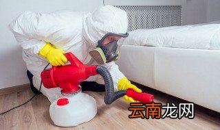 臭虫几月份才会没有 臭虫几月份才会消失