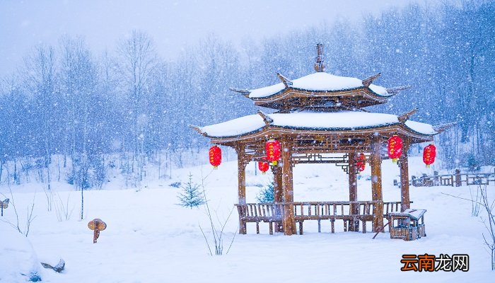 冰墩墩和雪容融的故事 冰墩墩和雪容融有什么故事