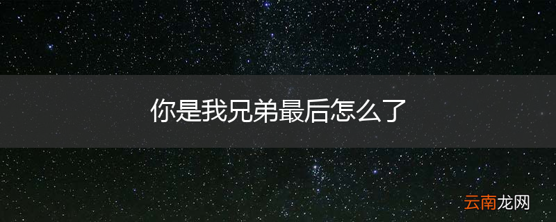 你是我兄弟最后怎么了